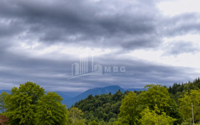 For Sale Country Land In Racha
