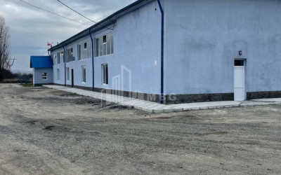 For Sale Refrigerator-freezer area Commercial In Ruisi, Kareli