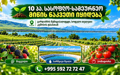 For Sale Orchards Land In Kumisi, Gardabani