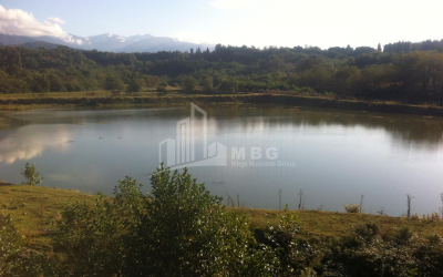 For Sale Land, Zeda Bakhvi, Ozurgeti Municipality, Municipalities of Guria