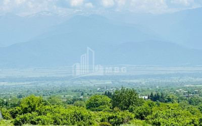 For Sale Land Vanta Telavi Kakheti