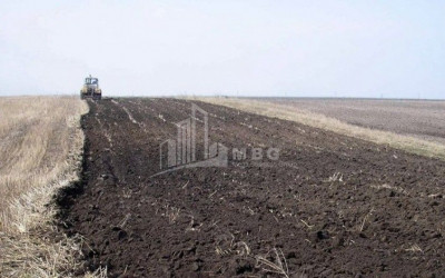 For Sale Land, Mukhrani, Mtskheta Municipality, Municipalities of Mtskheta - Mtianeti