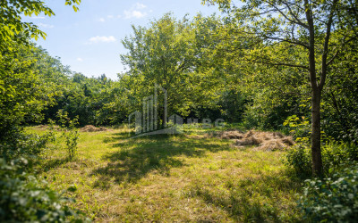 For-Sale-Land-Mchadijvari-village-Dusheti-Mtskheta---Mtianeti