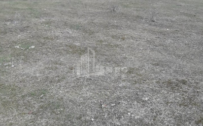 For Sale Country Land, in Manglisi