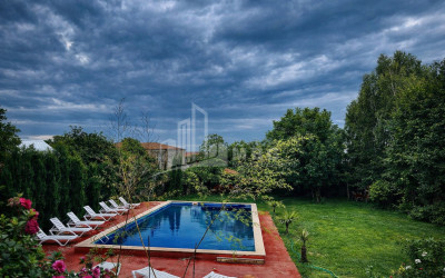 For Sale Commercial Kvareli Kakheti