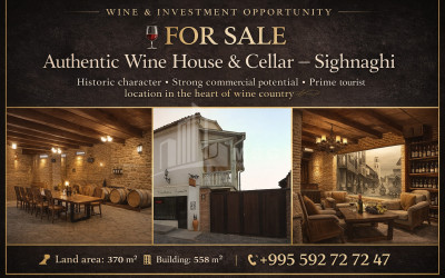 For-Sale-Commercial-Signagi-Kakheti