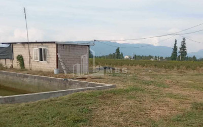 For Sale Land Zugdidi Samegrelo   Upper Svaneti