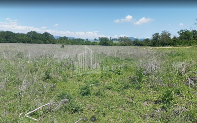 For Sale Country Land, in Village Baga