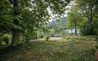 For Sale Old building House - Villa In Sagarejo