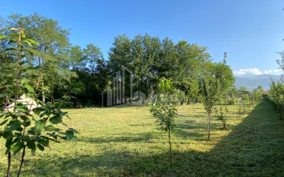 იყიდება ბიზნესი კომერციული ფართი თელავი კახეთი