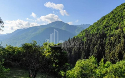 For Sale House Villa Kvishkheti Khashuri Shida Kartli