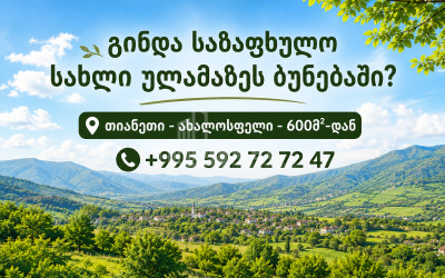 For Sale Country Land In Akhalsopeli, Tianeti