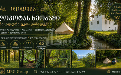 Business/Investment for Sale Leisure _ Entertainment complex Commercial In Telavi