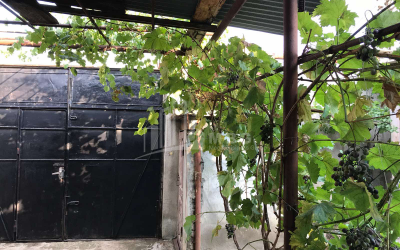 For Sale House - Villa, in Elia