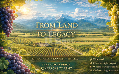 For Sale Orchards Land, in Kvareli