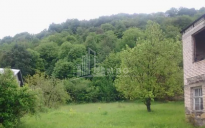 For Sale House - Villa, in Ananuri