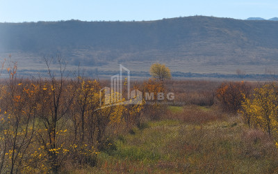 იყიდება მიწის ნაკვეთი სოფელი შაუმიანი მარნეული ქვემო ქართლი