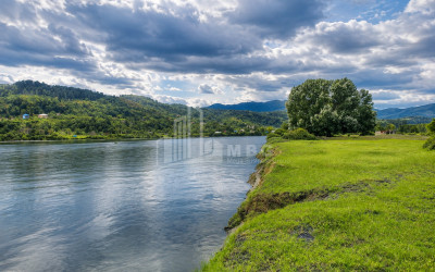 For Sale Orchards Land In Abasha