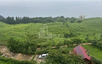 იყიდება კომერციული - არასასოფლო მიწის ნაკვეთი სარფში, ხელვაჩაური