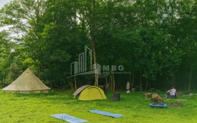 იყიდება ბიზნესი კომერციული ფართი თელავი კახეთი