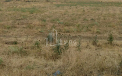 For Sale Orchards Land, in Kumisi