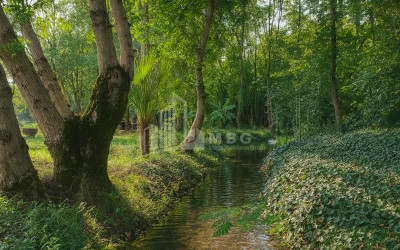 იყიდება ბიზნესი კომერციული ფართი თელავი კახეთი