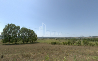 For Sale Land Khevsurtsopeli Tianeti Mtskheta   Mtianeti