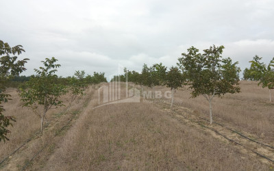 იყიდება მიწის ნაკვეთი ხაშური შიდა ქართლი