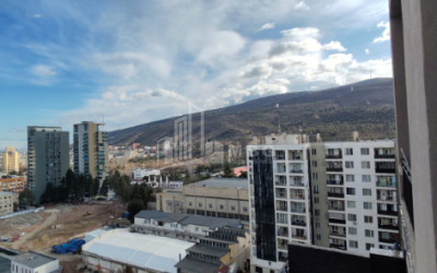 For Sale Flat I. Chavchavadze Avenue Vake Vake District Tbilisi