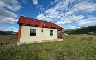 იყიდება სახლი - აგარაკი არაგვისპირში, დუშეთი