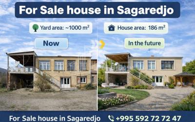 For Sale Old building House - Villa In Sagarejo