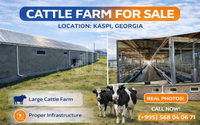 For-Sale-Commercial-Metekhi-Kaspi-Shida-Kartli