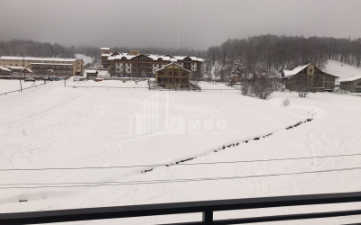 For Sale Flat, in Bakuriani