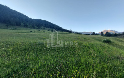 For Sale Land Tsvirmi Mestia Samegrelo   Upper Svaneti