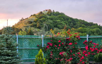 Продается Дом - Вилла В Коджори, Мтацминда Район