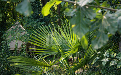 Business for sale Commercial Telavi Kakheti