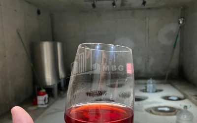 იყიდება შატო / ღვინის ქარხანა / მარანი კომერციული ფართი საგურამოში, მცხეთა