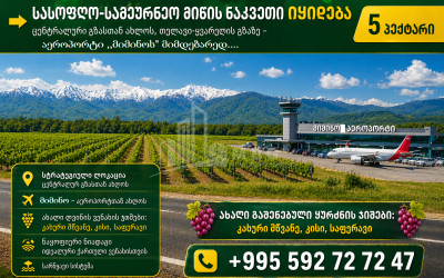 იყიდება სავენახე - საშატოე მიწის ნაკვეთი თელავში