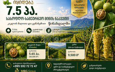 Продается Фруктовые сад Земля В Цинандали, Телави