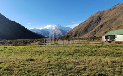 For Sale Land Daba Kazbegi Kazbegi Mtskheta   Mtianeti