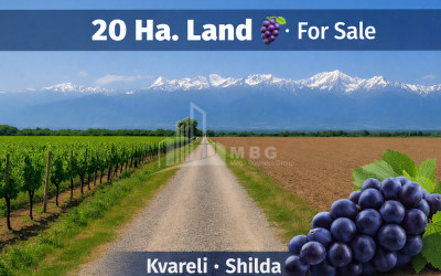 For Sale House Villa Tabakhmela Mtatsminda District Tbilisi