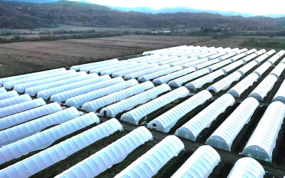 For Sale Land Vani Imereti
