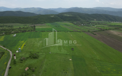 For Sale Land Bazaleti Dusheti Mtskheta   Mtianeti