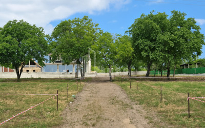 For Sale Commercial Bazaleti Dusheti Mtskheta   Mtianeti