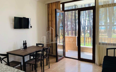 For Sale House - Villa, in Daba Shekvetili