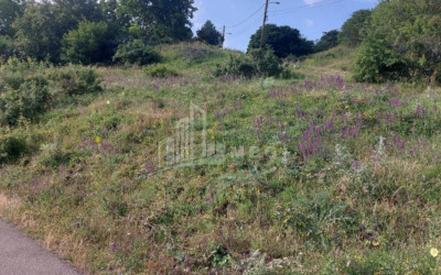 For Sale Land Gardabani City Gardabani Kvemo Kartli