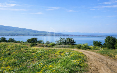 For Sale Land Kumisi Gardabani Kvemo Kartli