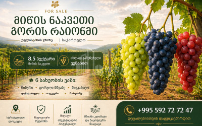 იყიდება სავენახე - საშატოე მიწის ნაკვეთი გორში