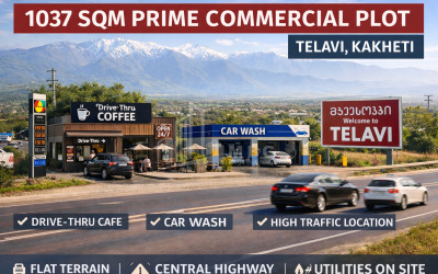 For Sale Land Telavi Kakheti