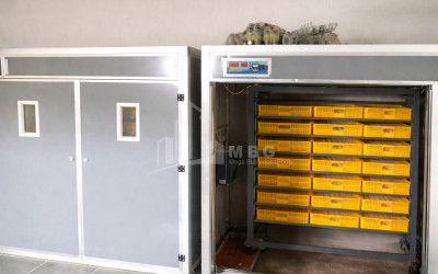 Продается Озеро - Рыболовное хозяйство Земля В Деревния Гачиани, Гардабани